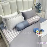  Bộ Chăn Ga Lụa Tencel Coolsilk TCS2217 