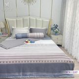 Bộ Chăn Ga Lụa Tencel Coolsilk TCS2217 