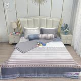 Bộ Chăn Ga Lụa Tencel Coolsilk TCS2217 