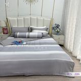  Bộ Chăn Ga Lụa Tencel Coolsilk TCS2214 