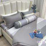  Bộ Chăn Ga Lụa Tencel Coolsilk TCS2214 