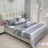  Bộ Chăn Ga Lụa Tencel Coolsilk TCS2214 