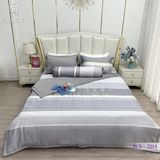  Bộ Chăn Ga Lụa Tencel Coolsilk TCS2214 