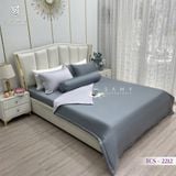  Bộ Chăn Ga Lụa Tencel Coolsilk TCS2212 