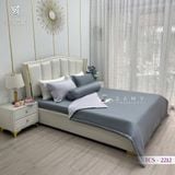  Bộ Chăn Ga Lụa Tencel Coolsilk TCS2212 