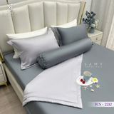  Bộ Chăn Ga Lụa Tencel Coolsilk TCS2212 