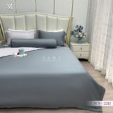  Bộ Chăn Ga Lụa Tencel Coolsilk TCS2212 