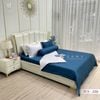  Bộ Chăn Ga Lụa Tencel Coolsilk TCS2211 