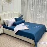  Bộ Chăn Ga Lụa Tencel Coolsilk TCS2211 