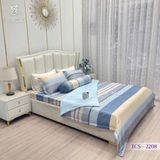  Bộ Chăn Ga Lụa Tencel Coolsilk TCS2208 