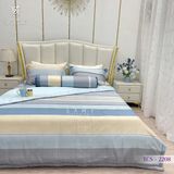  Bộ Chăn Ga Lụa Tencel Coolsilk TCS2208 
