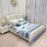  Bộ Chăn Ga Lụa Tencel Coolsilk TCS2208 