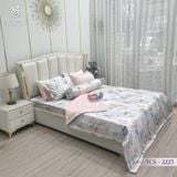  Bộ Chăn Ga Lụa Tencel Coolsilk TCS2225 