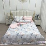  Bộ Chăn Ga Lụa Tencel Coolsilk TCS2225 
