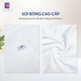  Bộ Khăn Khách Sạn Cao Cấp 
