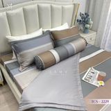  Bộ Chăn Ga Lụa Tencel Coolsilk TCS2229 