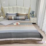  Bộ Chăn Ga Lụa Tencel Coolsilk TCS2229 