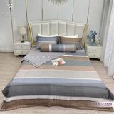  Bộ Chăn Ga Lụa Tencel Coolsilk TCS2229 