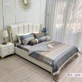  Bộ Chăn Ga Lụa Tencel Coolsilk TCS2229 