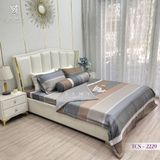  Bộ Chăn Ga Lụa Tencel Coolsilk TCS2229 