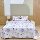  Bộ Chăn Ga Lụa Tencel Coolsilk TCS2231 