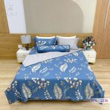 Bộ Chăn Ga Lụa Tencel Coolsilk TCS2236 