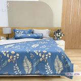  Bộ Chăn Ga Lụa Tencel Coolsilk TCS2236 