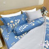  Bộ Chăn Ga Lụa Tencel Coolsilk TCS2236 