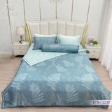  Bộ Chăn Ga Lụa Tencel Coolsilk TCS2237 