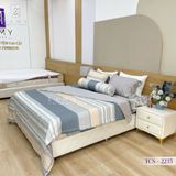  Bộ Chăn Ga Lụa Tencel Coolsilk TCS2235 