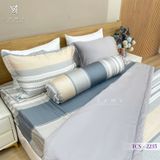  Bộ Chăn Ga Lụa Tencel Coolsilk TCS2235 