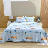  Bộ Chăn Ga Lụa Tencel Coolsilk TCS2233 
