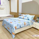  Bộ Chăn Ga Lụa Tencel Coolsilk TCS2233 