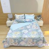  Bộ Chăn Ga Lụa Tencel Coolsilk TCS2232 