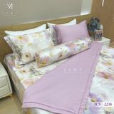  Bộ Chăn Ga Lụa Tencel Coolsilk TCS2238 