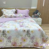  Bộ Chăn Ga Lụa Tencel Coolsilk TCS2238 