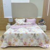  Bộ Chăn Ga Lụa Tencel Coolsilk TCS2238 