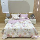  Bộ Chăn Ga Lụa Tencel Coolsilk TCS2238 