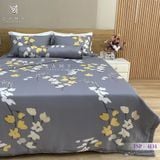  Bộ Chăn Ga Lụa Tencel Silk Protein TSP4134 