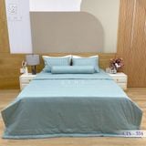  Bộ Chăn Ga Cotton Lụa Satin Easy Care CTS554 
