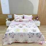  Bộ Chăn Ga Lụa Tencel Coolsilk TCS2240 