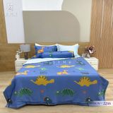  Bộ Chăn Ga Lụa Tencel Coolsilk TCS2246 