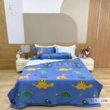  Bộ Chăn Ga Lụa Tencel Coolsilk TCS2246 