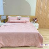  Bộ Chăn Ga Lụa Tencel Coolsilk TCS2247 