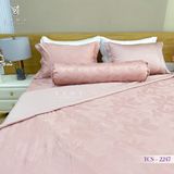  Bộ Chăn Ga Lụa Tencel Coolsilk TCS2247 