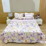  Bộ Chăn Ga Lụa Tencel Coolsilk TCS2550 