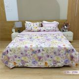  Bộ Chăn Ga Lụa Tencel Coolsilk TCS2550 