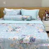  Bộ Chăn Ga Lụa Tencel Coolsilk TCS2551 