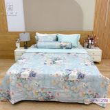  Bộ Chăn Ga Lụa Tencel Coolsilk TCS2551 