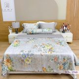  Bộ Chăn Ga Lụa Tencel Coolsilk TCS2760 